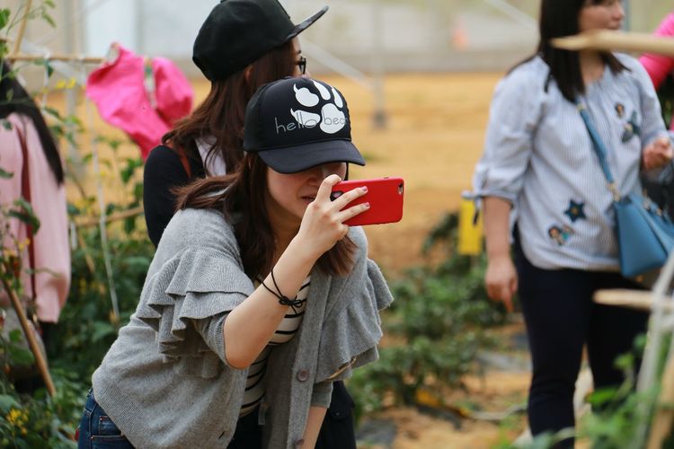 澳门铁盘算盘490777