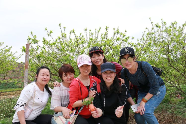 澳门铁盘算盘490777