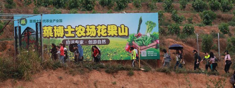 澳门铁盘算盘490777