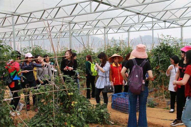 澳门铁盘算盘490777